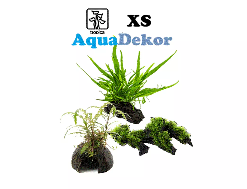 AQUADEKOR Tropica, XS (Rot/Kokosnøtt)