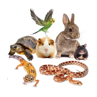 *Våre dyr, fugler og reptiler