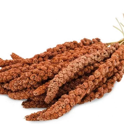 gallery-11491-for-3281011394204