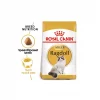 RC Feline Ragdoll Adult 2 kg