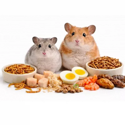 Smådyrmat og snacks