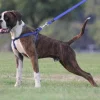gallery-11625-for-649510018428