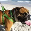 gallery-11631-for-659510033062