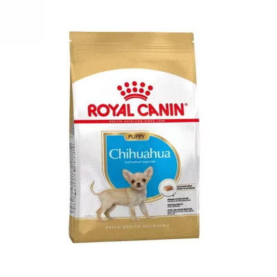 RC Breed Chihuahua Puppy 1,5 kg