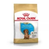 RC Breed Dachshund Puppy 1,5 kg