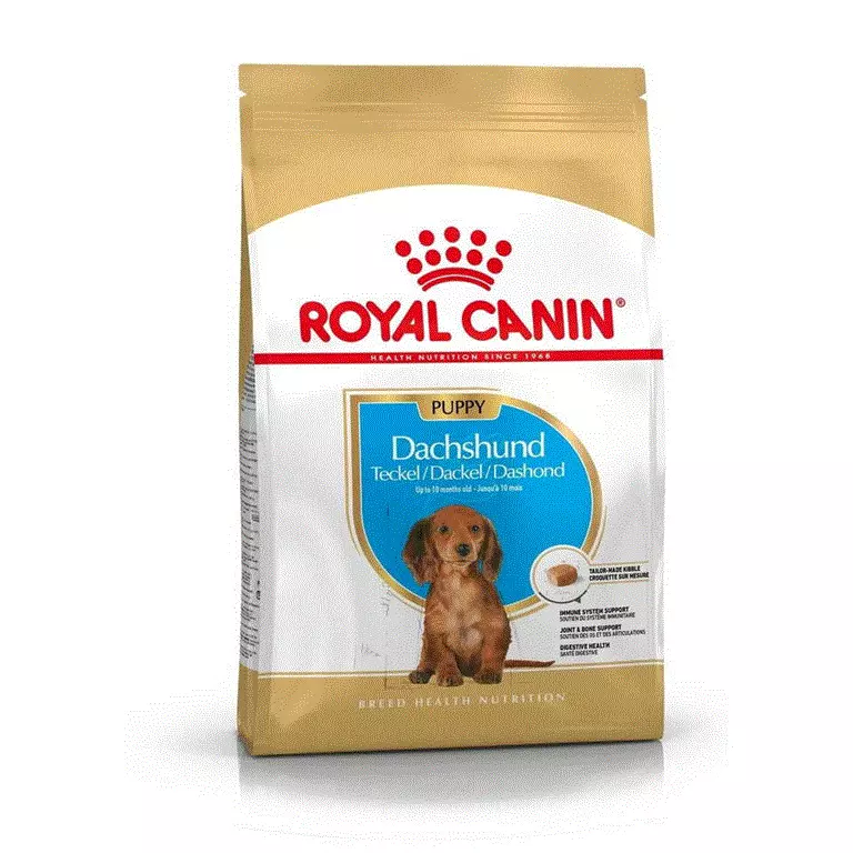 RC Breed Dachshund Puppy 1,5 kg