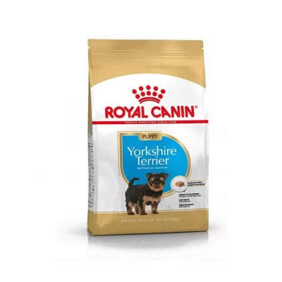 RC Breed Yorkshire Terrier Puppy 1,5 kg