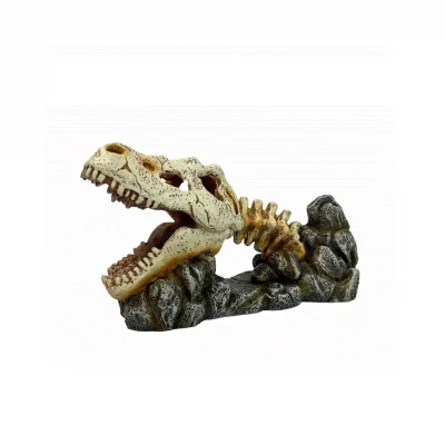 DRAGON SKULL Ozami, 19.8x8x11cm.