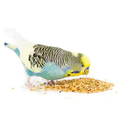Fuglemat og snacks