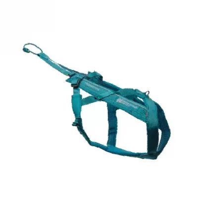 Non-Stop, Freemotion harness 5.0, unisex, teal, 6, single