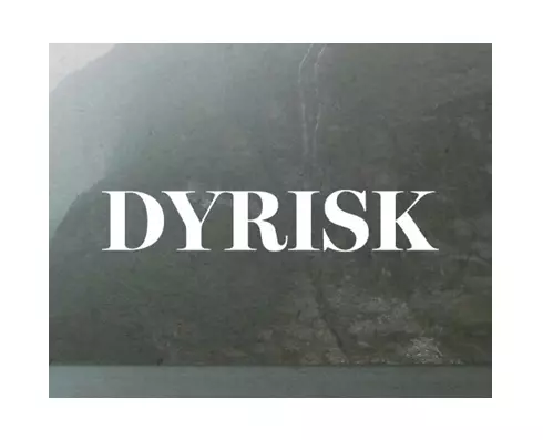 Dyrisk