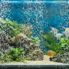 gallery-12952-for-3336023347509