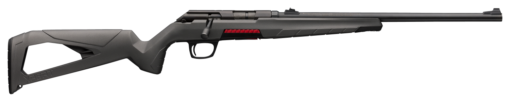 Winchester Xpert 22LR