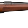 Winchester XPR Hunter 308win