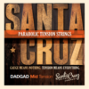 Santa Cruz DADGAD Mid Tension Strings