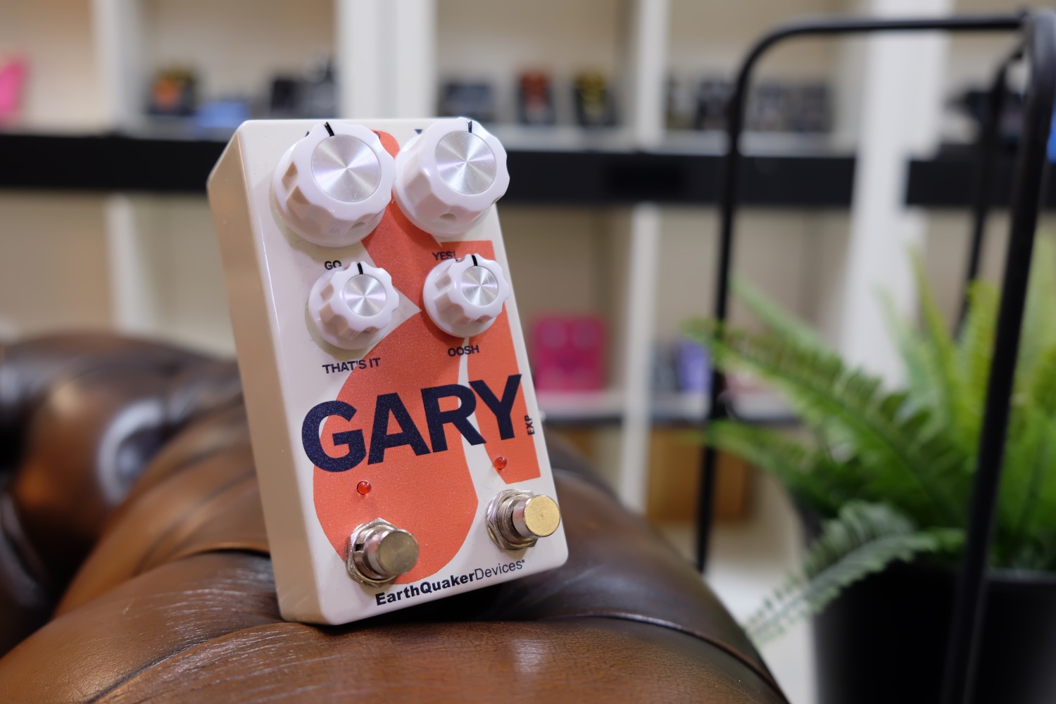 EarthQuaker Gary
