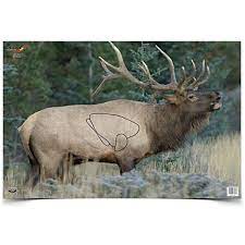 2stk. 23"x35" Elk Eze-Scorer Targets, Folded, Birchwood Casey