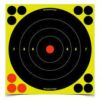 6stk. 8" Shoot.N.C Bull`s-eye Targets, Birchwood Casey
