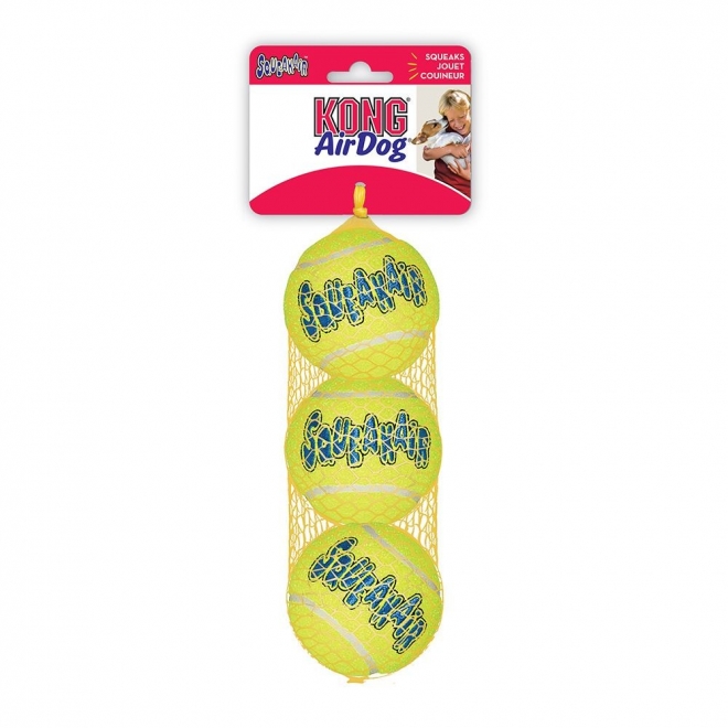Tennisball  m/pip M  3pk, Kong 