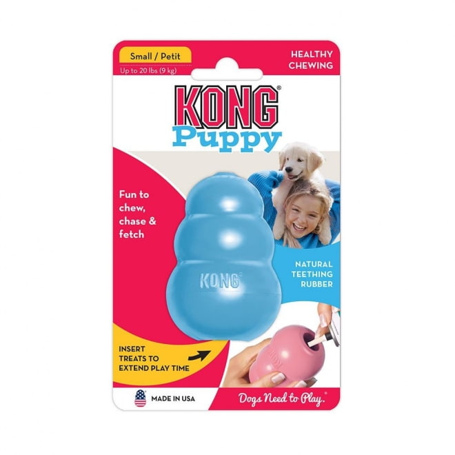 Puppy M, Kong