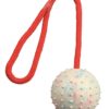 Hundeleke Ball i snor