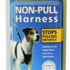 Non-pull Harness Large