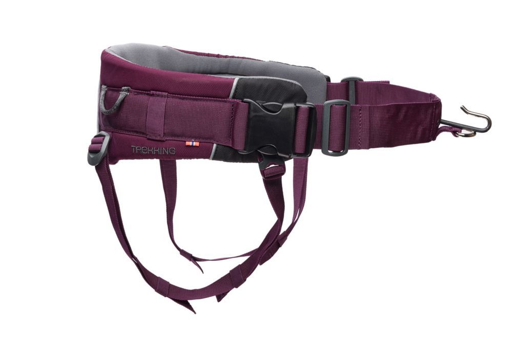 Str.M Trekking Belt 2.0 Purple, Non-stop