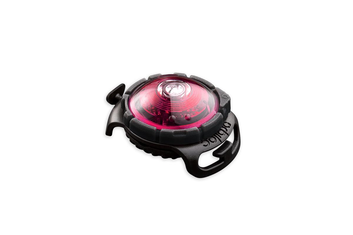 Orbiloc dog dual rosa