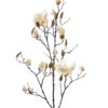 Magnolia 110cm