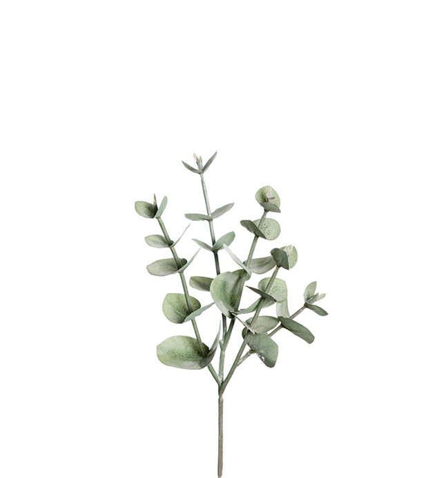 Eucalyptus snitt stilk grønn grå blå naturtro Cinerea H24cm