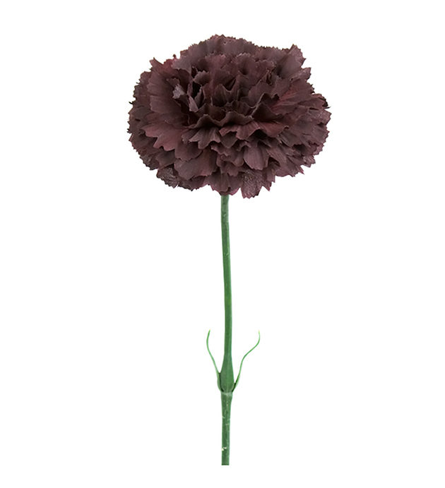 Nellik snitt stilk black burg lilla mørk naturtro H30cm