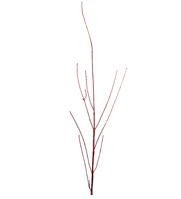 Cornell snitt stilk gren rød burg Naturtro H55cm
