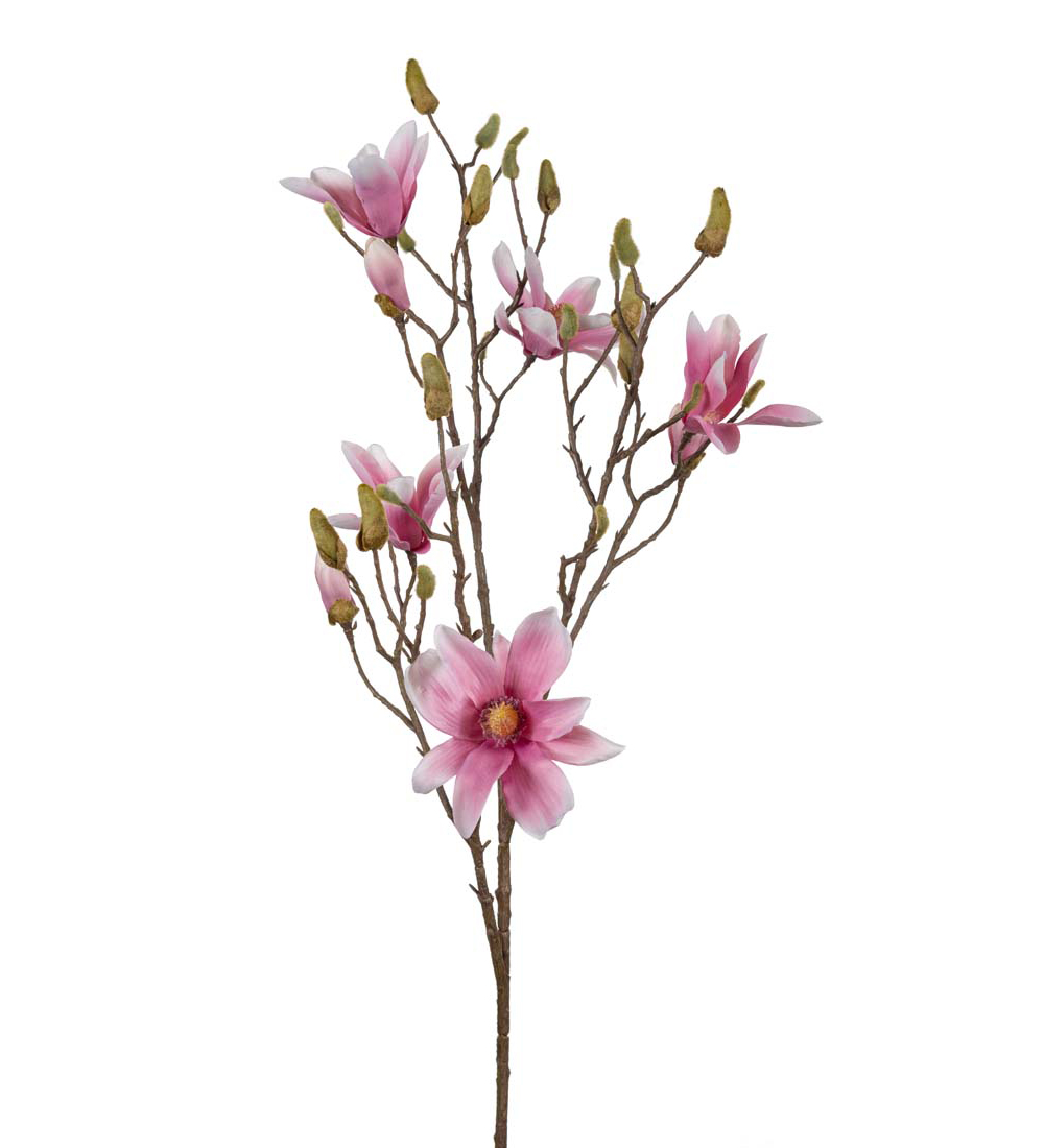 Magnolia Gren Rosa lilla bleke hvite tupper H115cm