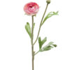 Ranuncle snitt stilk lilla rosa naturtro H30cm