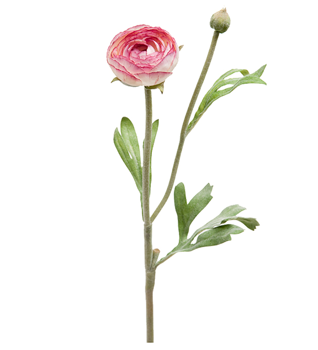 Ranuncle snitt stilk lilla rosa naturtro H30cm