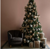 gallery-58111-for-315540
