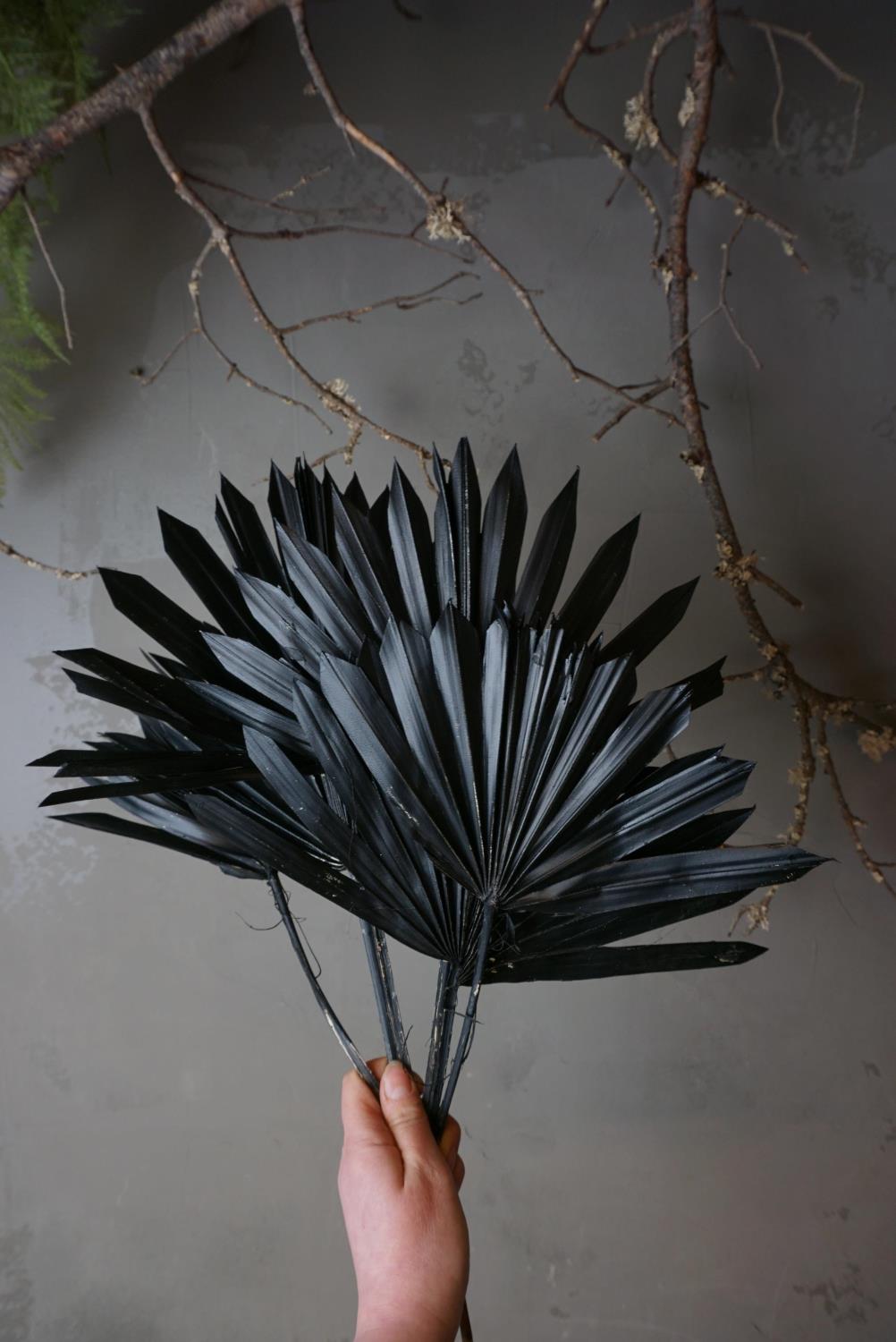 Palmeblader svarte