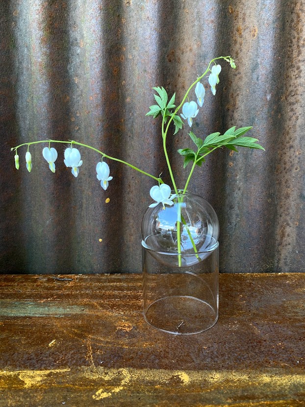 Flower Bubble Transparent-Høy