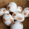 Flekke egg.