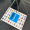 NEW MAGS 1000 sneakers book