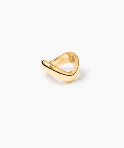 Lie the ivalo ring gull