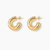 Lie The Rose earrings gull