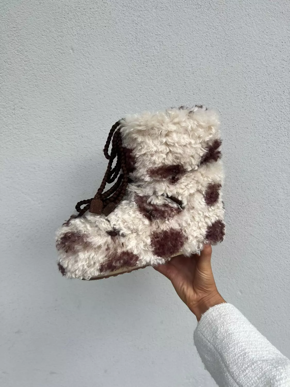 MB Icon low Curly var cow