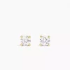 ANI Stud Earrings Gull