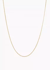 ANI Thin Chain Gull