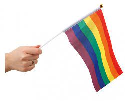 Rainbow håndflagg 6 pk