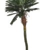 Kunstig palme 240cm