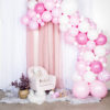 Balloon arch kit-baby pink