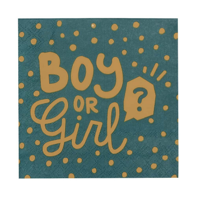 Boy or girl servietter 12 pk