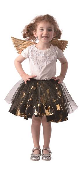 Tutu and wings gold 3-6 år